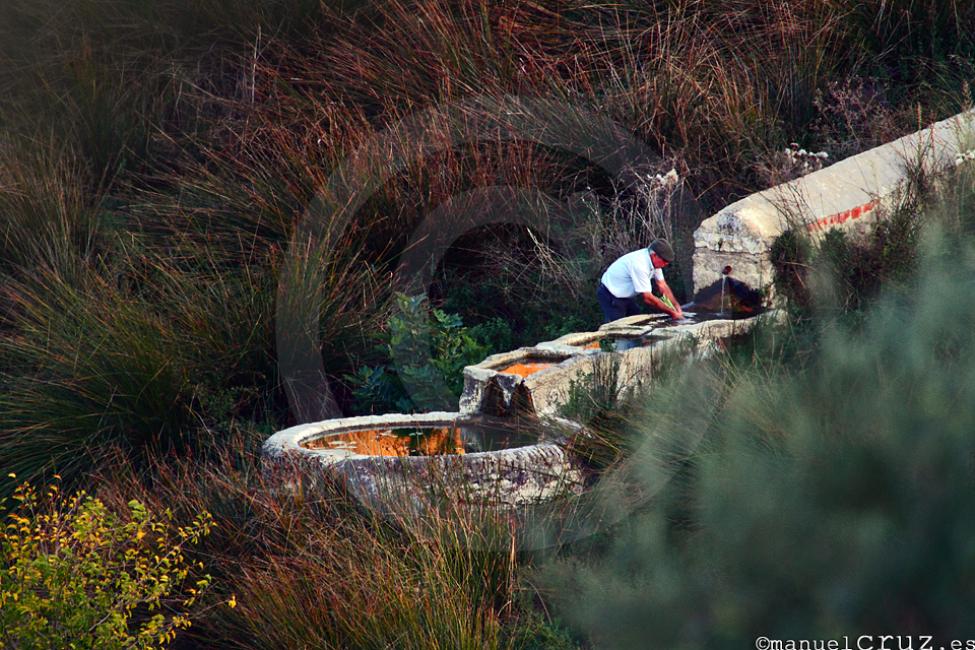 Fuente de Descansavacas